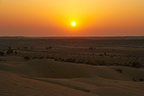 Не знаете что привезти из Индии? Отправляйтесь в Джайсалмер!!!