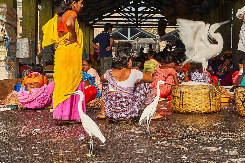 Доки в Индии