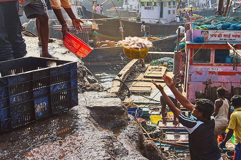 Доки в Индии