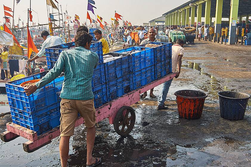 Доки в Индии