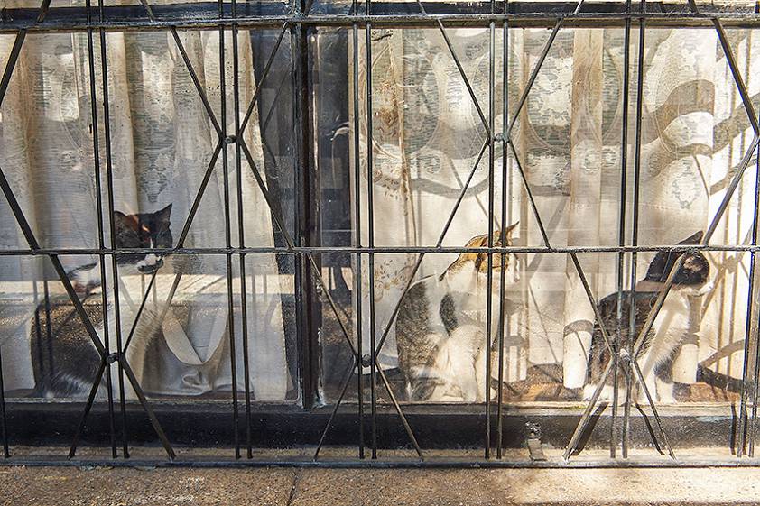 Достопримечательности Сантьяго, Чили