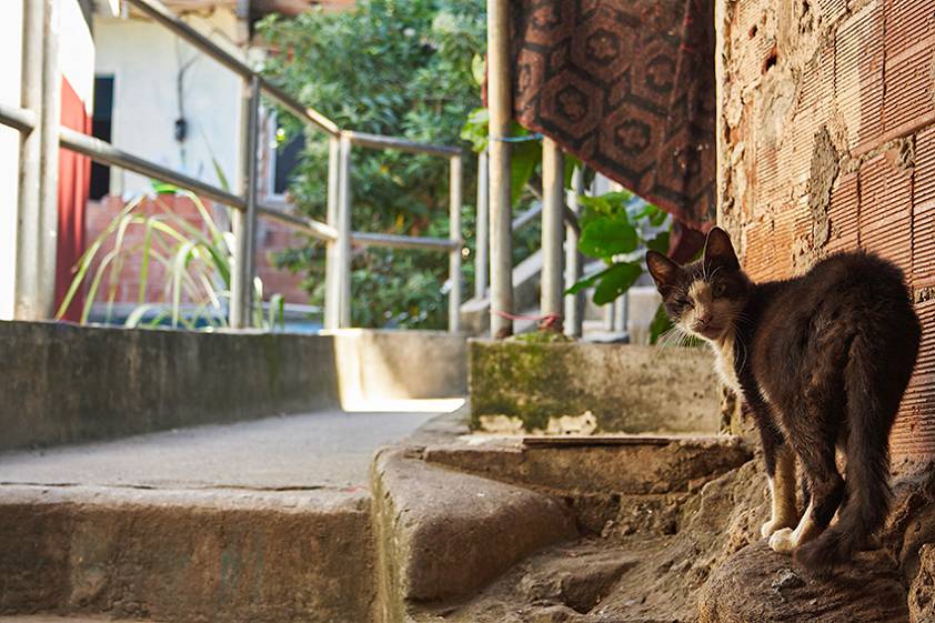 Фавелы Бразилии