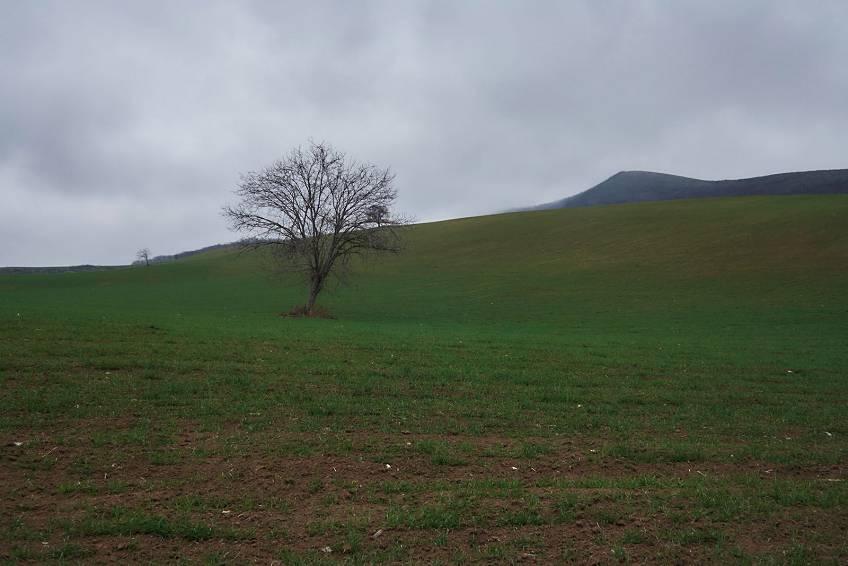 Природа Нагорного Карабаха