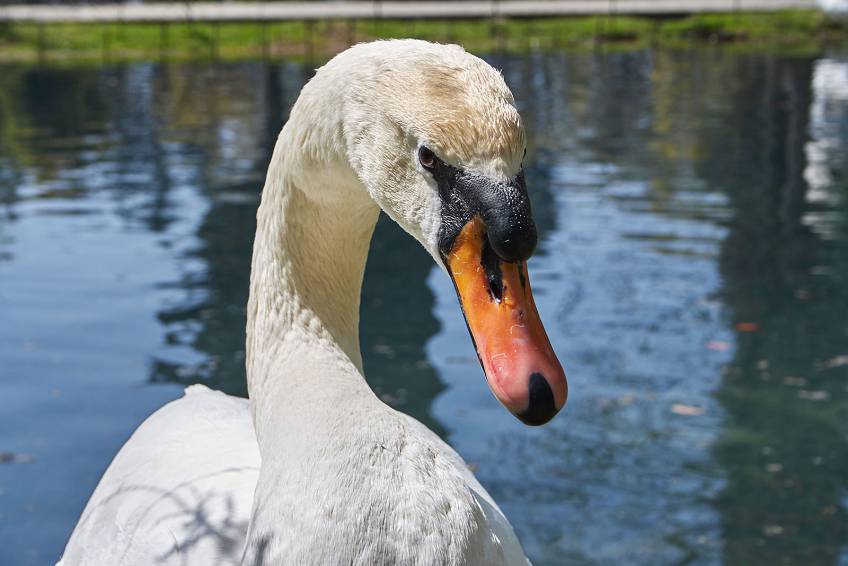 Сухум, Абхазия Сухум, Абхазия