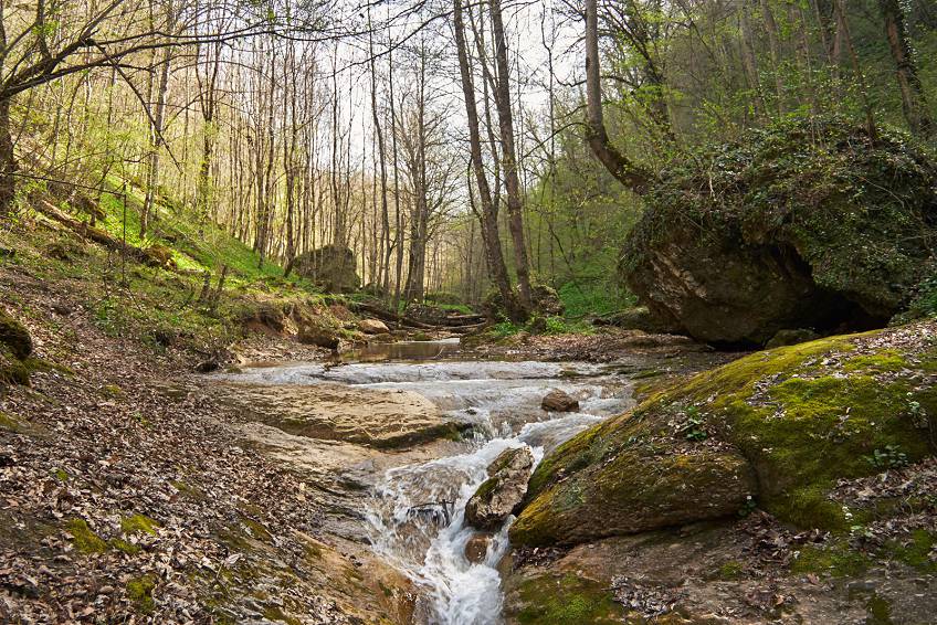 Природа Адыгеи