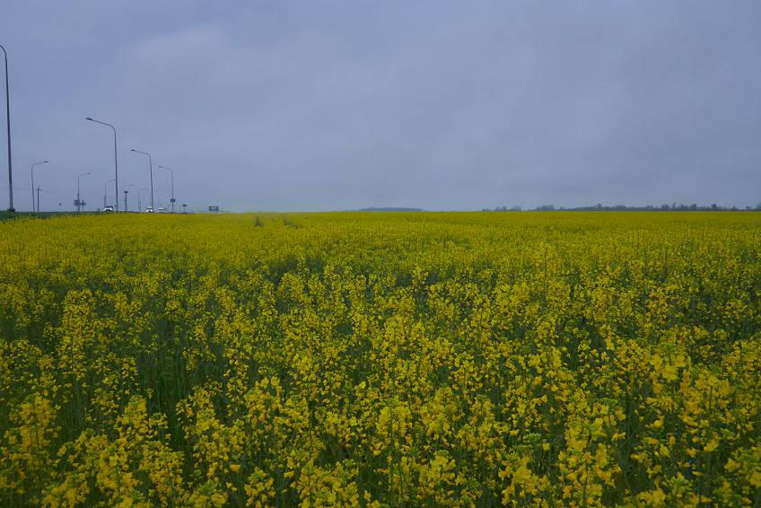 Удивительная природа России