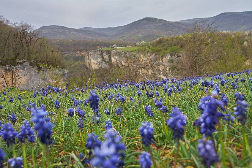 Природа Адыгеи