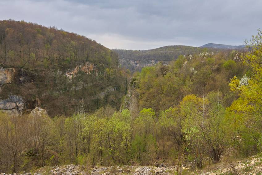 Природа Адыгеи