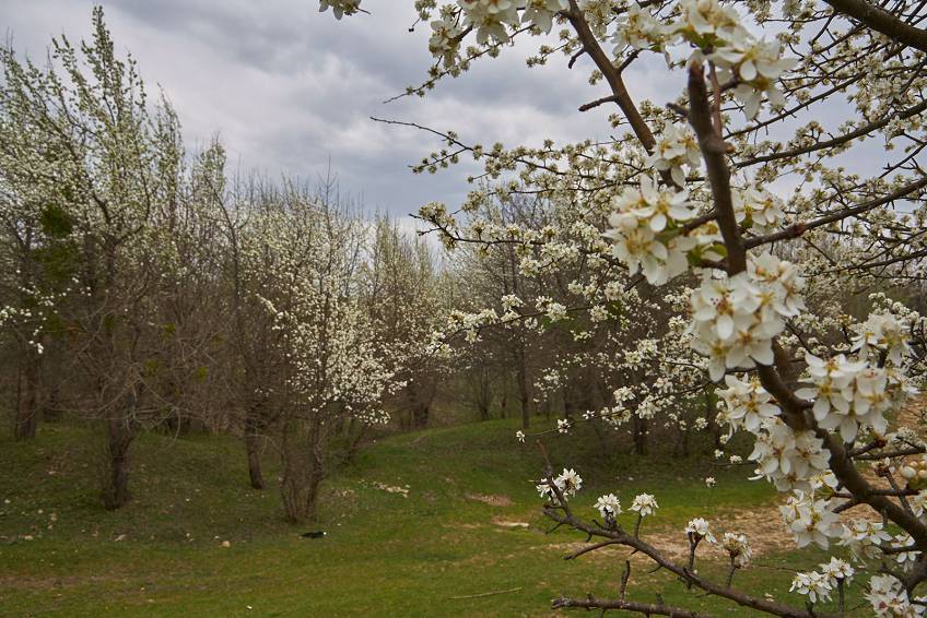 Природа Адыгеи