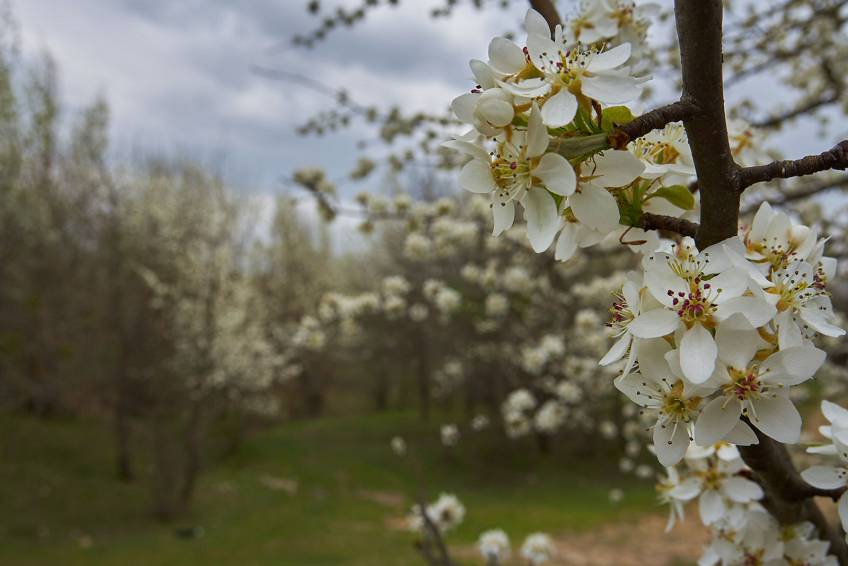 Природа Адыгеи