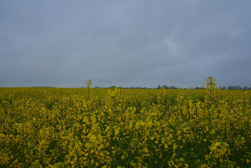 Удивительная природа России