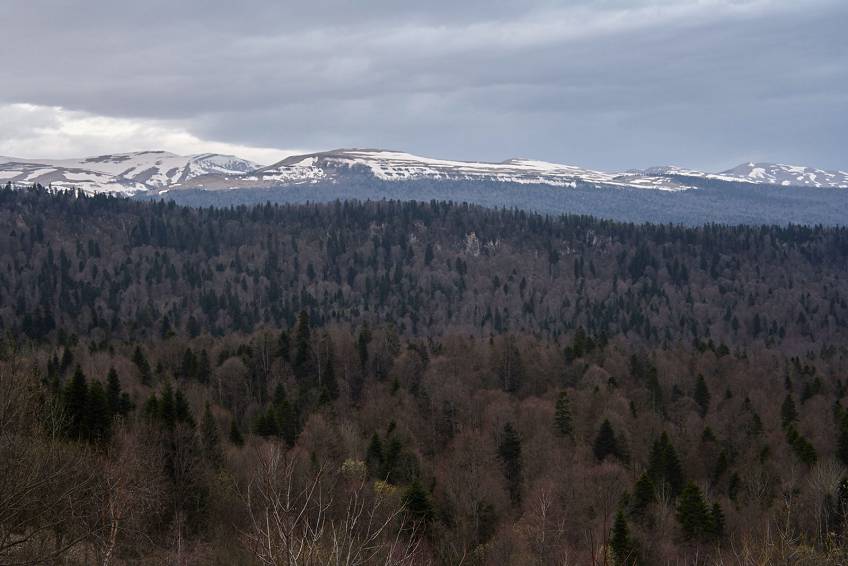 Природа Адыгеи