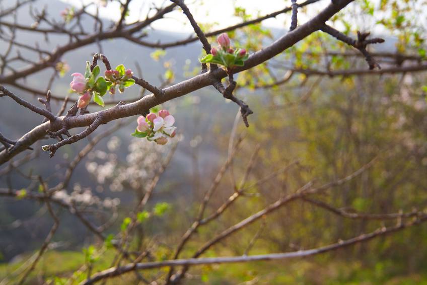 Природа Адыгеи