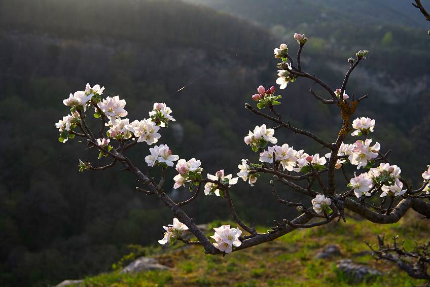 Природа Адыгеи