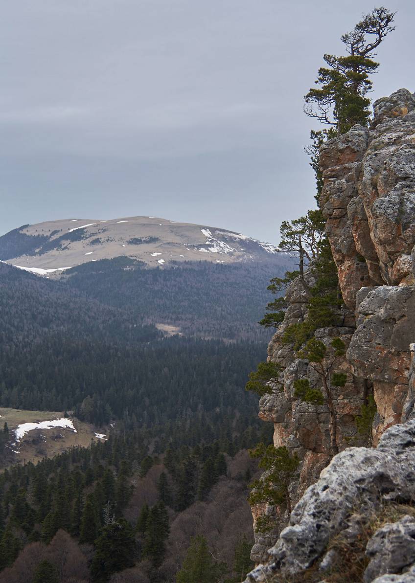 Удивительная природа России