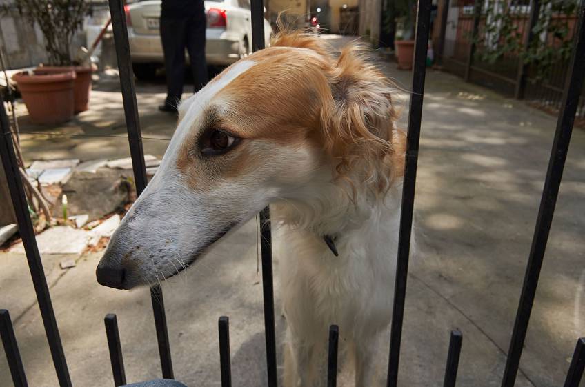 Ялта, Россия