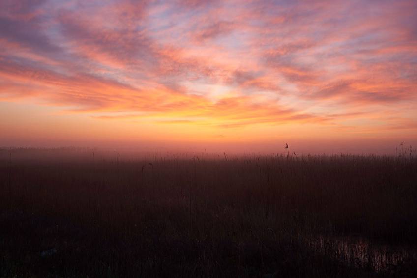 Рассвет по дороге в Ростов Рассвет по дороге в Ростов