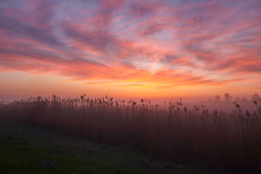 Рассвет по дороге в Ростов