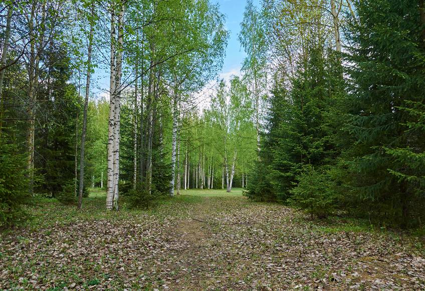 Малые Корелы, Россия