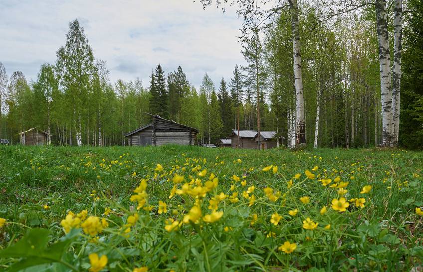 Малые Корелы, Россия
