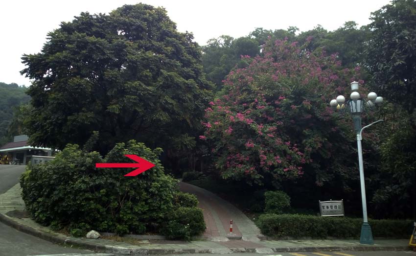 Достопримечательности. Парк отдыха Байюнь