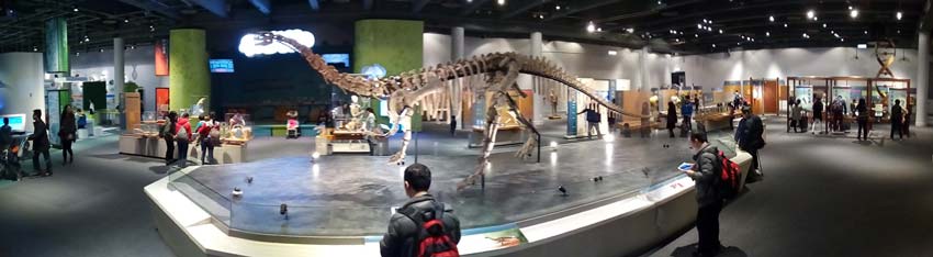 Научный Музей