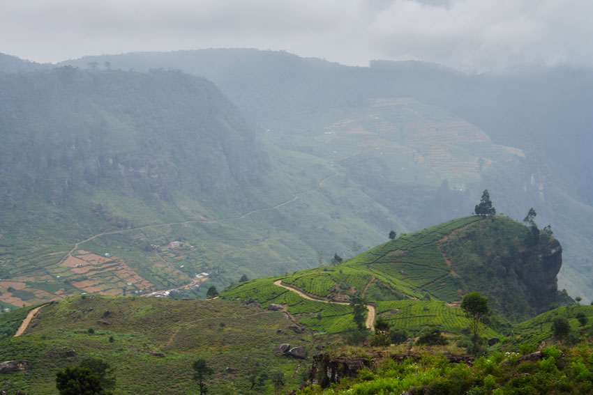 Нувара Элия