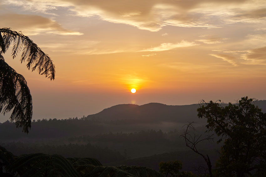 Равнины Хортон