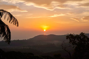 Обзор достопримечательностей Шри Ланки и мои впечатления