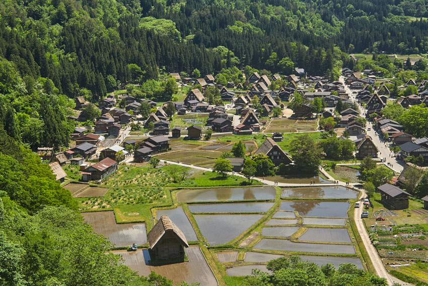 Ширакава го