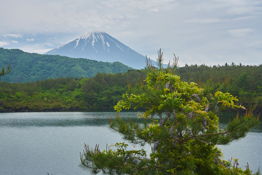 что посмотреть в японии