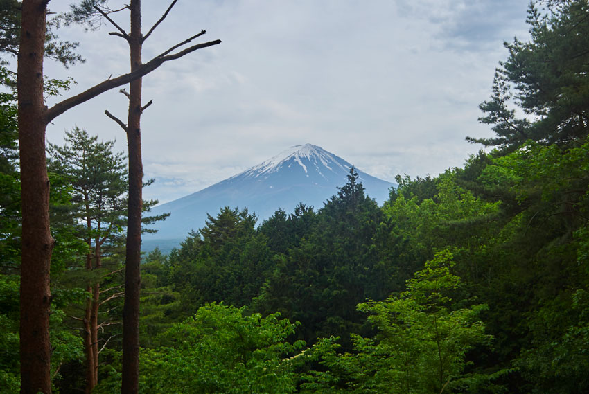 Кавагучико