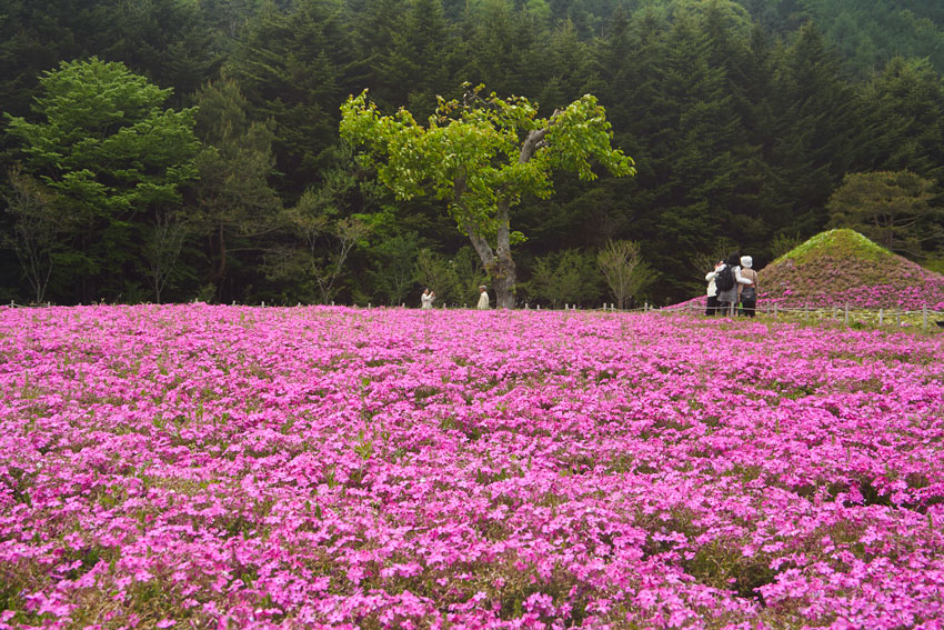 главные достопримечательности японии