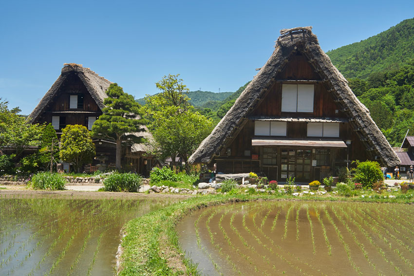 Сиракава Го